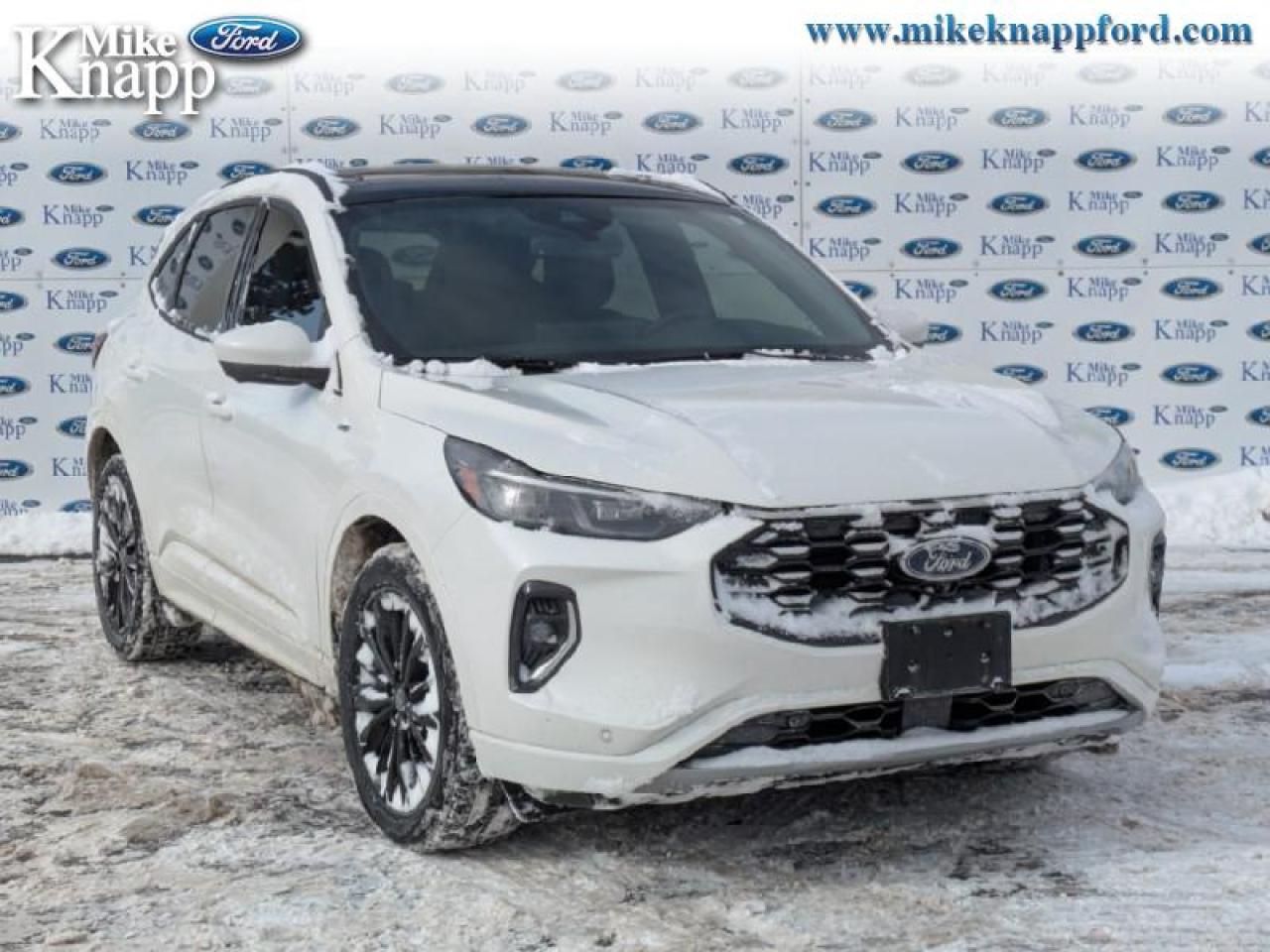 2023 Ford Escape ST-Line Elite Photo