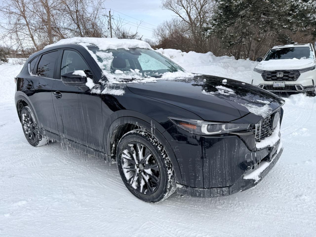 2022 Mazda CX-5 Kuro Edition 4dr i-ACTIV All-Wheel Drive Sport Utility Photo