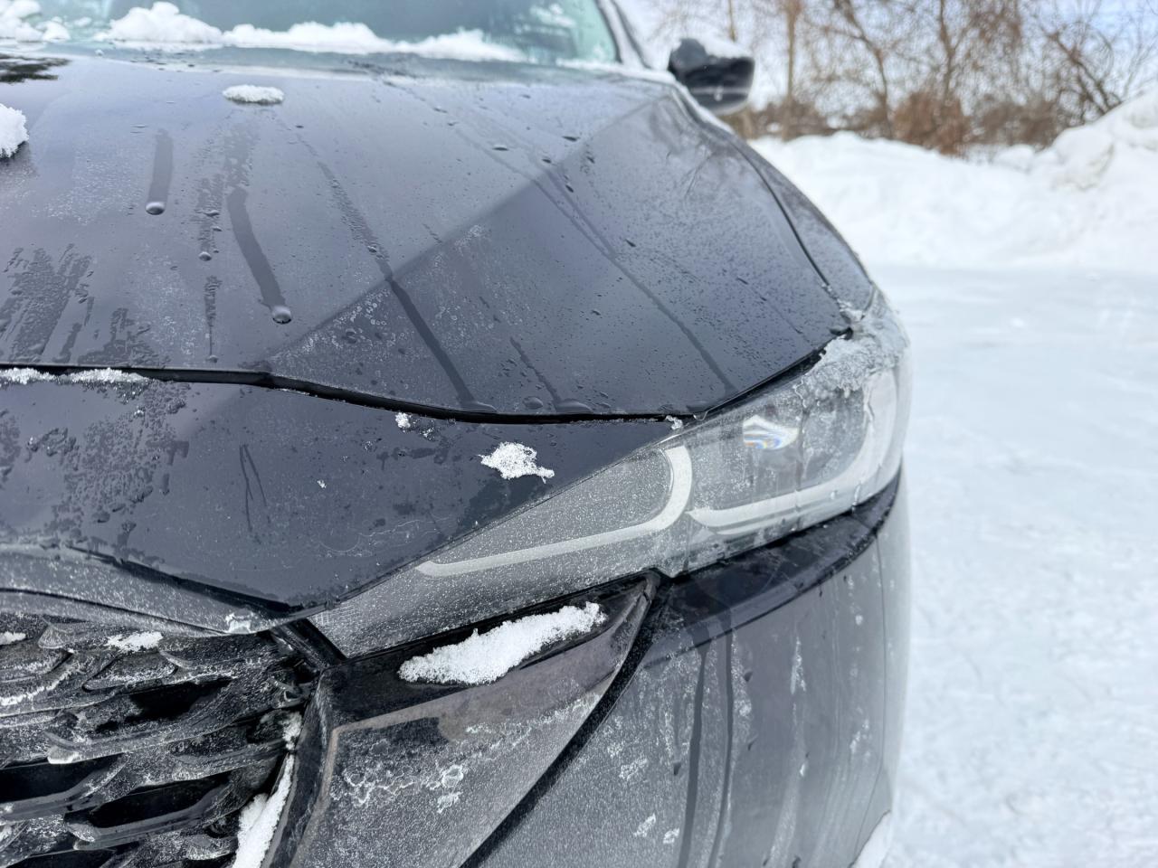 2022 Mazda CX-5 Kuro Edition 4dr i-ACTIV All-Wheel Drive Sport Utility Photo