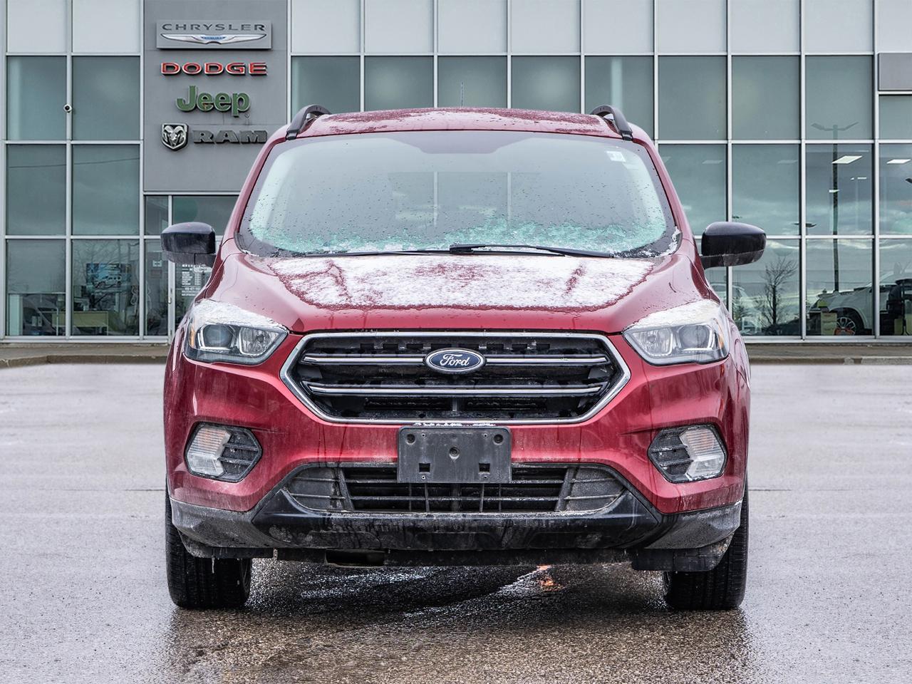 2017 Ford Escape 4WD 4dr SE Photo