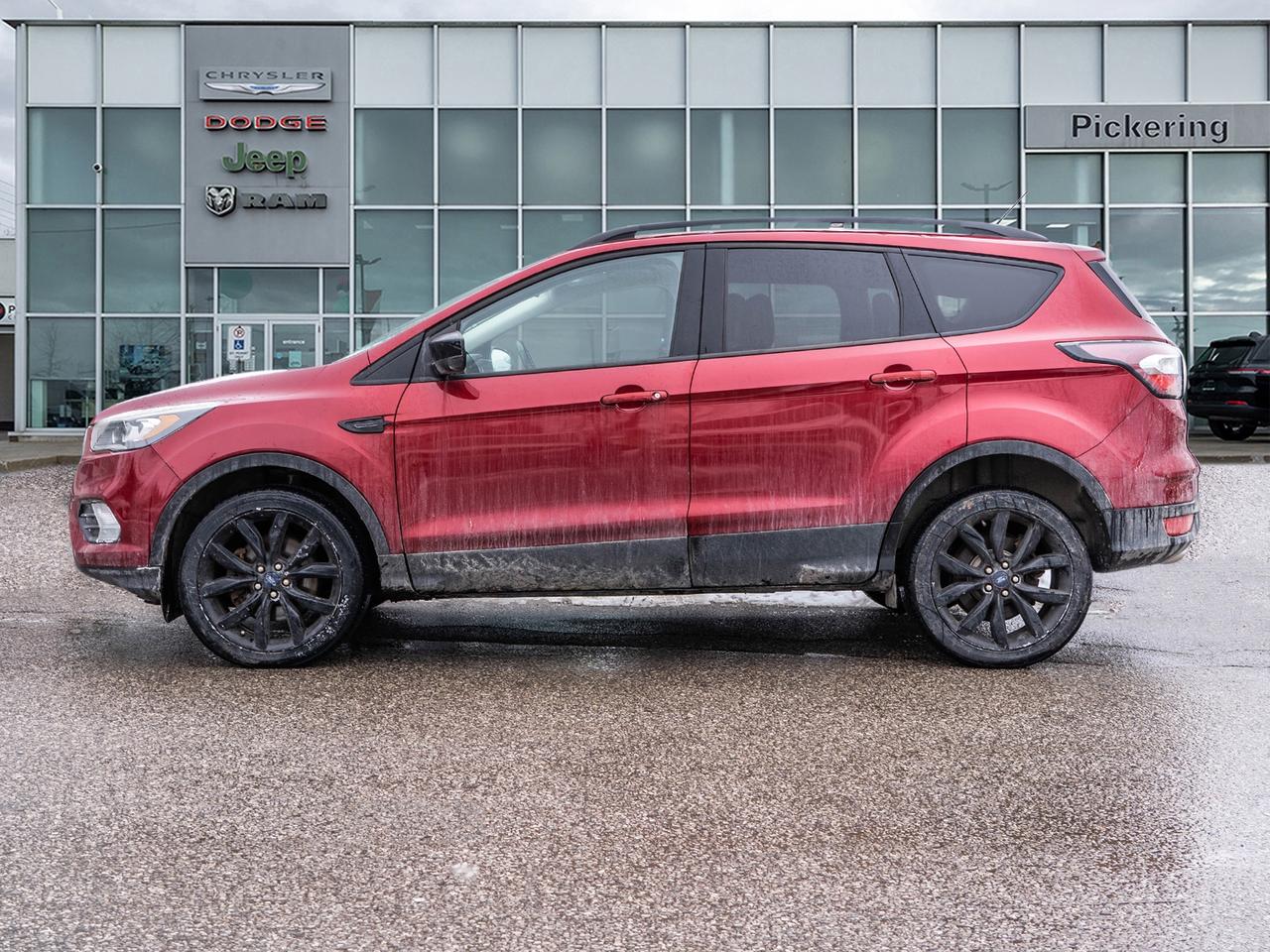 2017 Ford Escape 4WD 4dr SE Photo