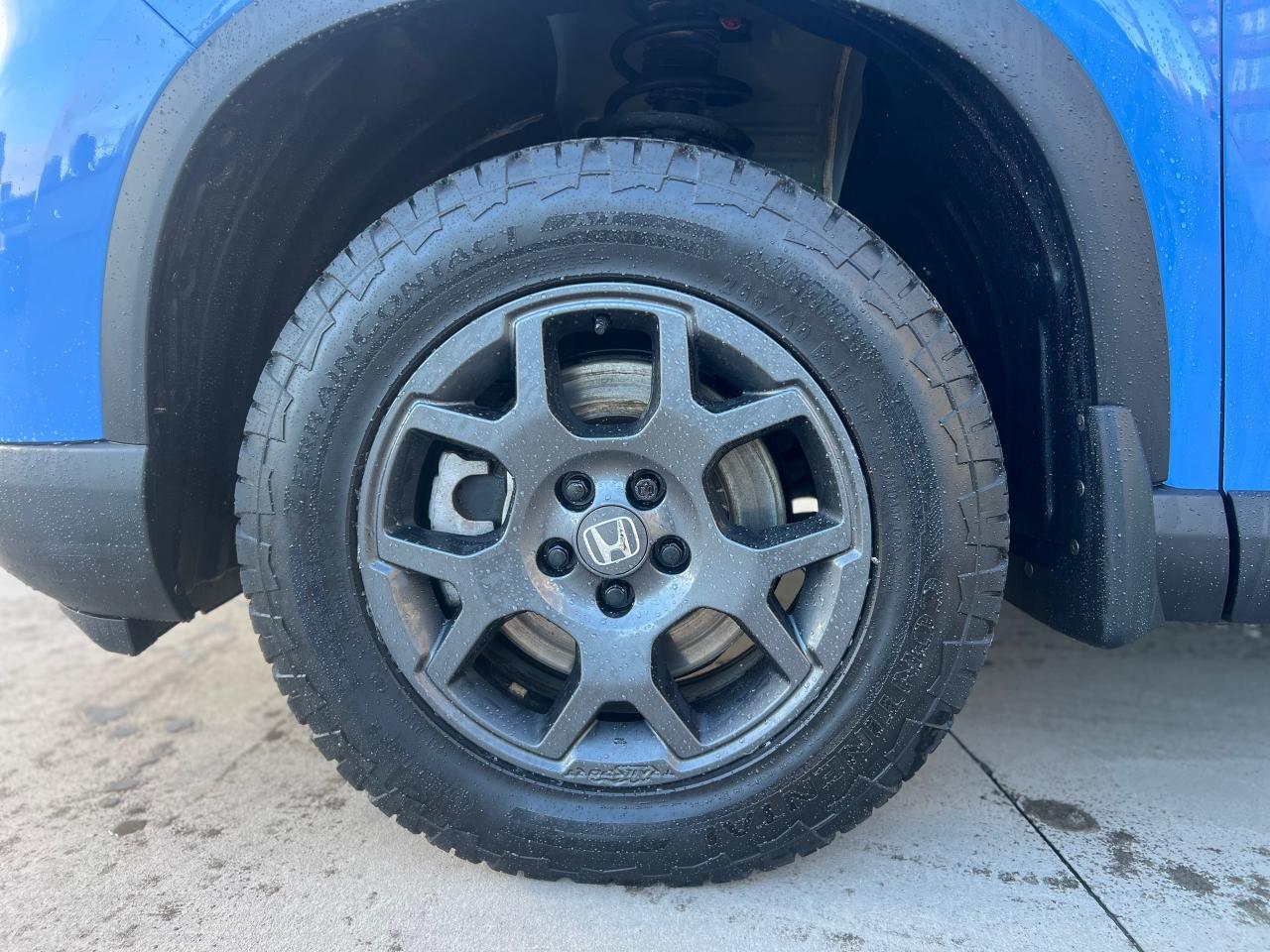 2023 Honda Pilot TrailSport 4dr All-Wheel Drive Photo