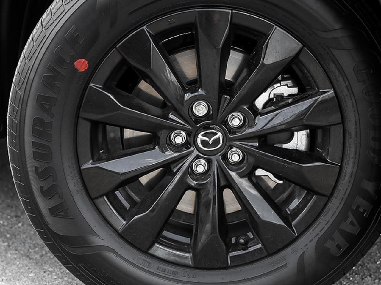 2025 Mazda CX-50 GS-L 4dr All-Wheel Drive Sport Utility Photo