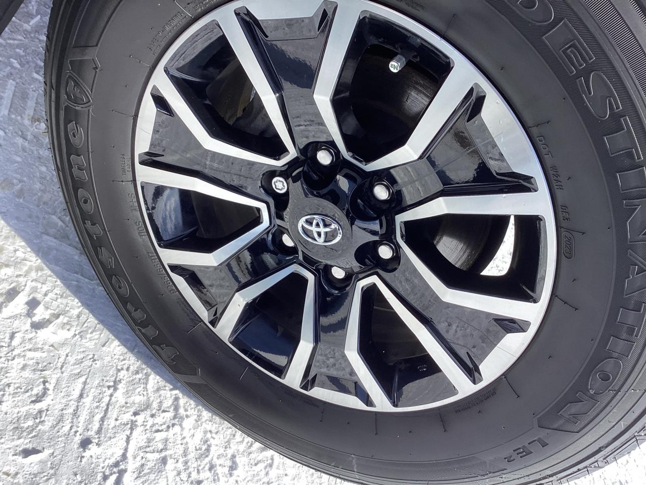 2023 Toyota Tacoma TRD Sport Photo