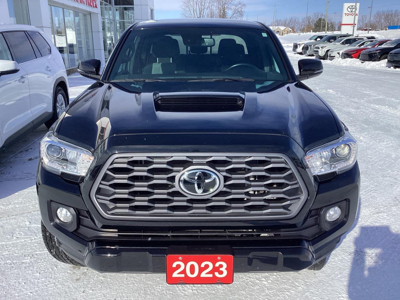 2023 Toyota Tacoma TRD Sport Photo