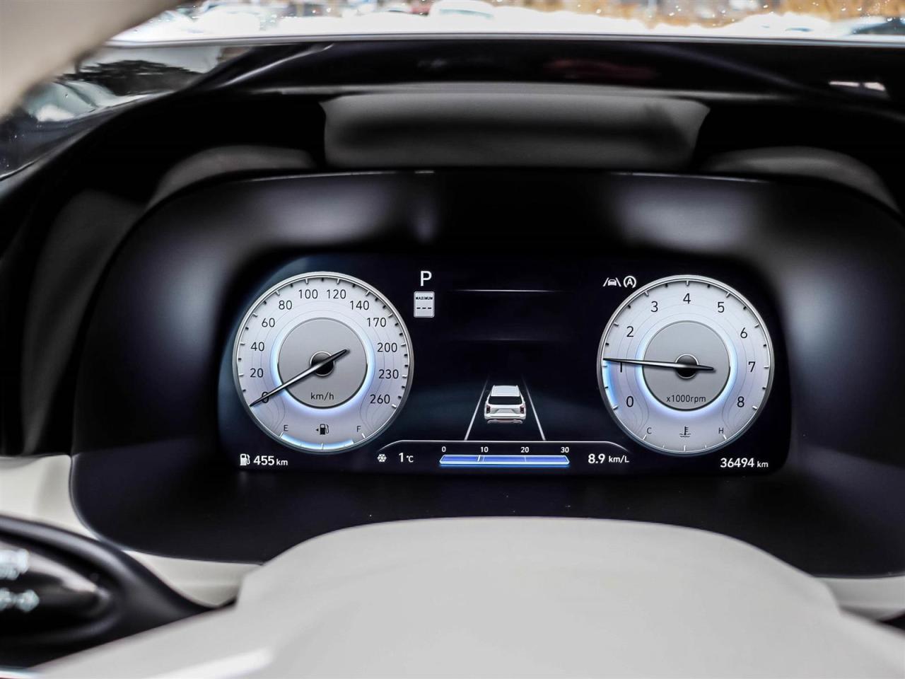 2023 Hyundai PALISADE Ultimate Calligraphy Photo