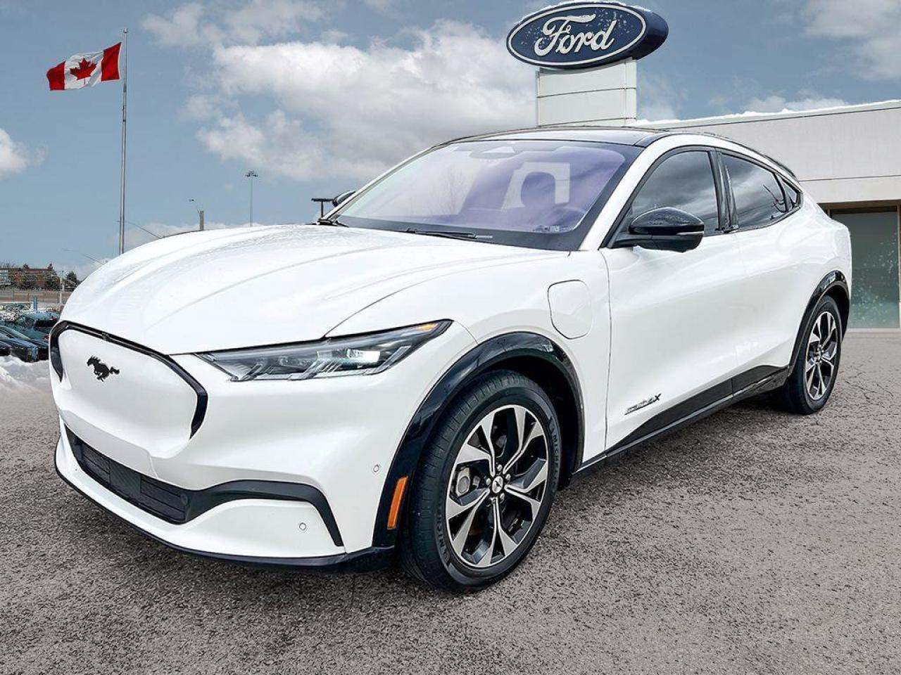 2021 Ford Mustang Mach-E Premium   LEASE RETURN   GLASS ROOF   EXT BATT LEA Photo