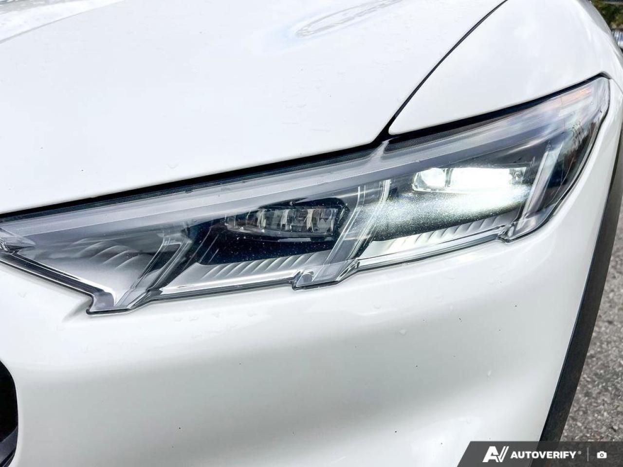 2021 Ford Mustang Mach-E Premium   LEASE RETURN   GLASS ROOF   EXT BATT LEA Photo