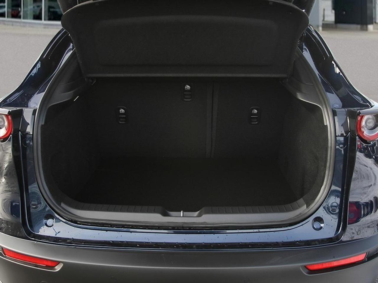 2025 Mazda CX-30 GT w/Turbo 4dr i-ACTIV All-Wheel Drive Sport Utility Photo