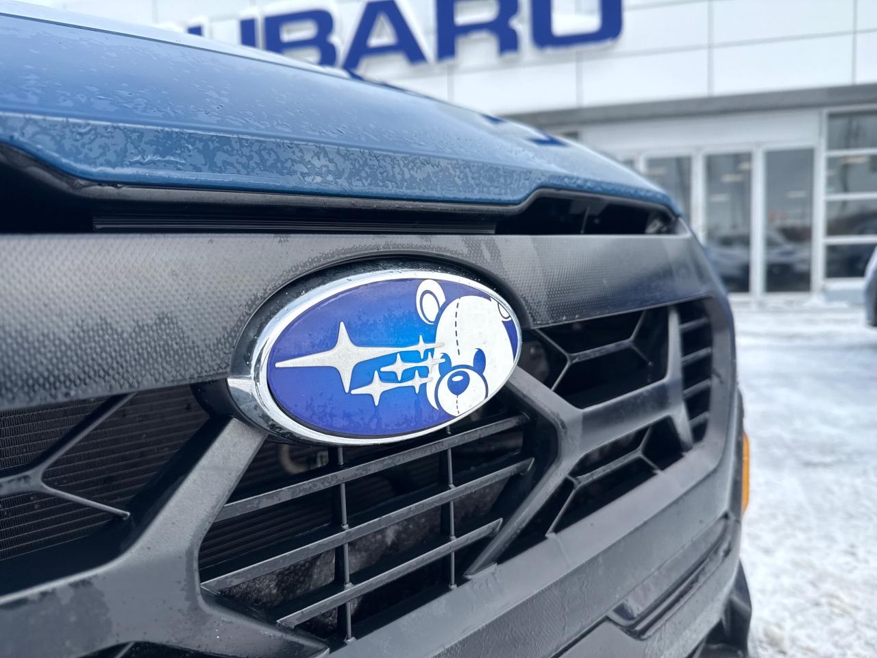 2024 Subaru Crosstrek Wilderness 4dr All-Wheel Drive Photo2