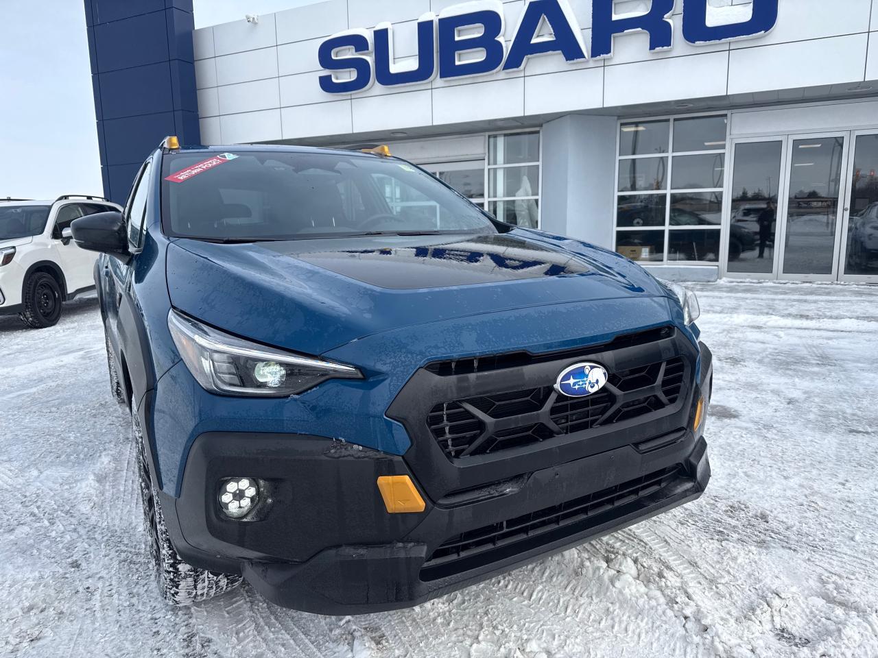 2024 Subaru Crosstrek Wilderness 4dr All-Wheel Drive Photo