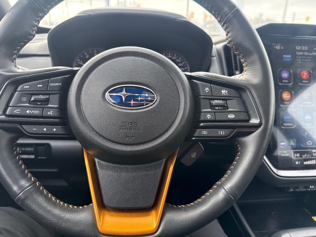 2024 Subaru Crosstrek Wilderness 4dr All-Wheel Drive Photo