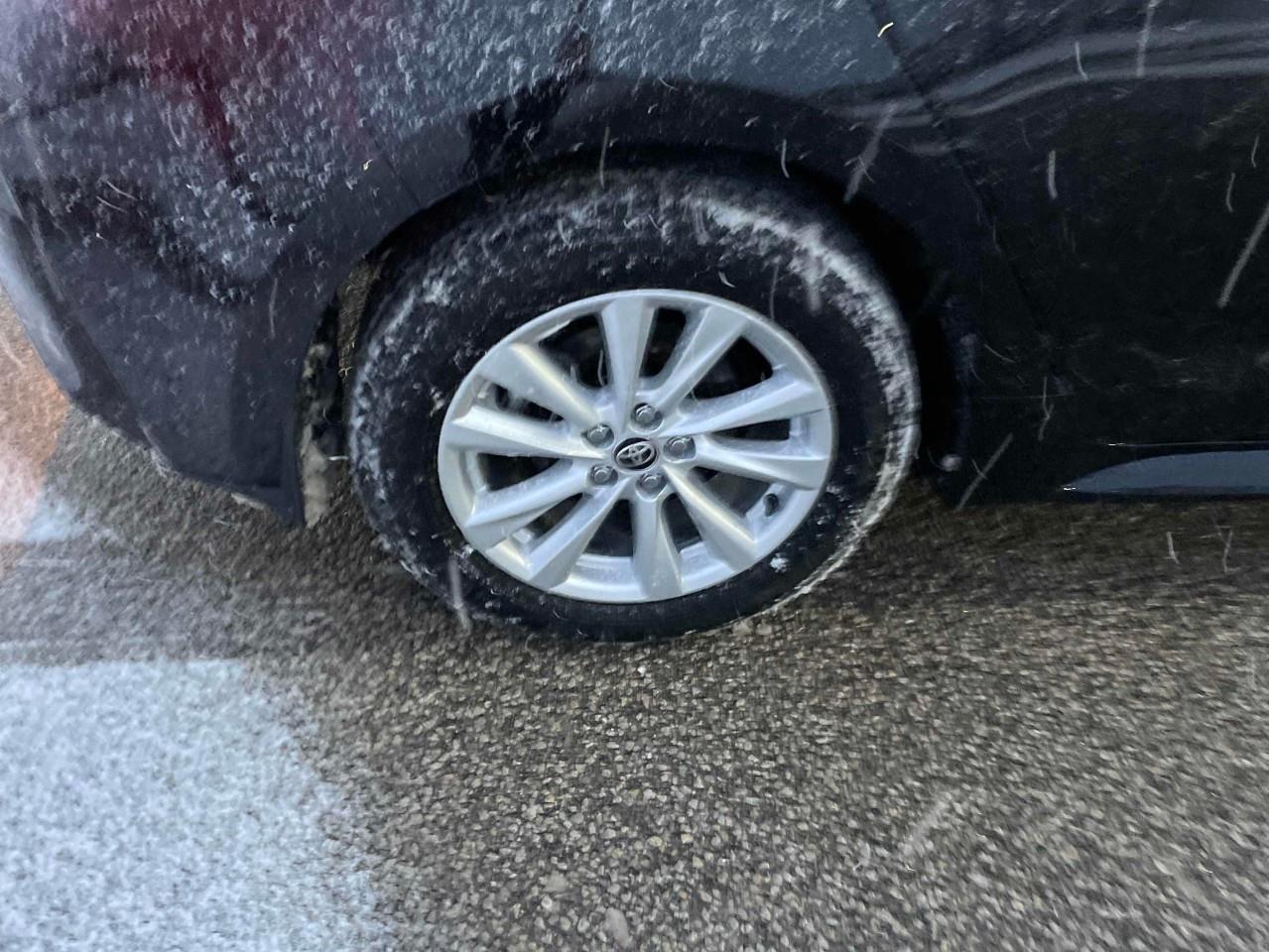 2025 Toyota Corolla Hatchback Base 5dr Photo