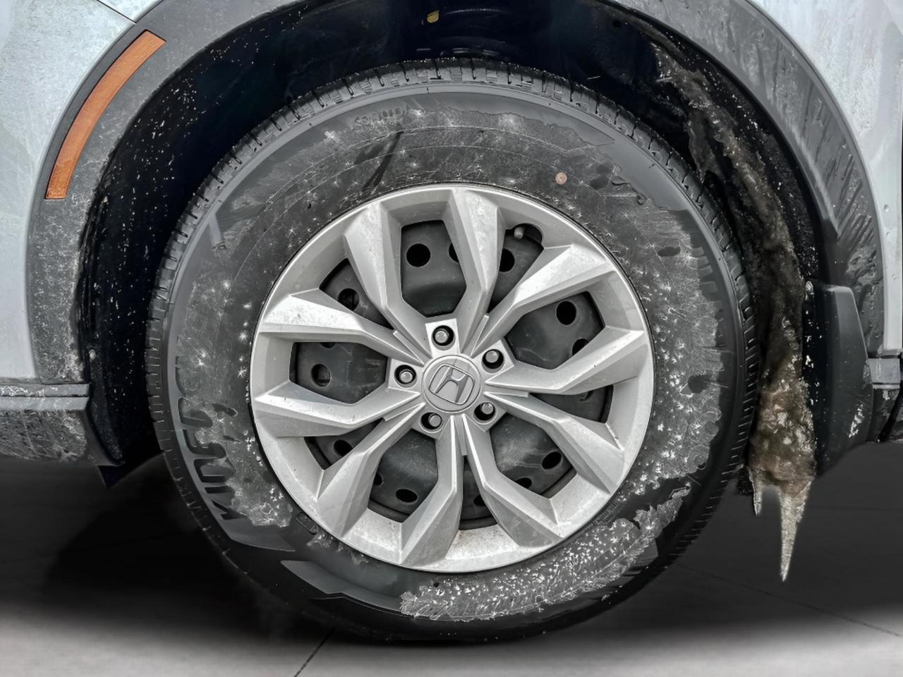 2024 Honda CR-V LX Photo