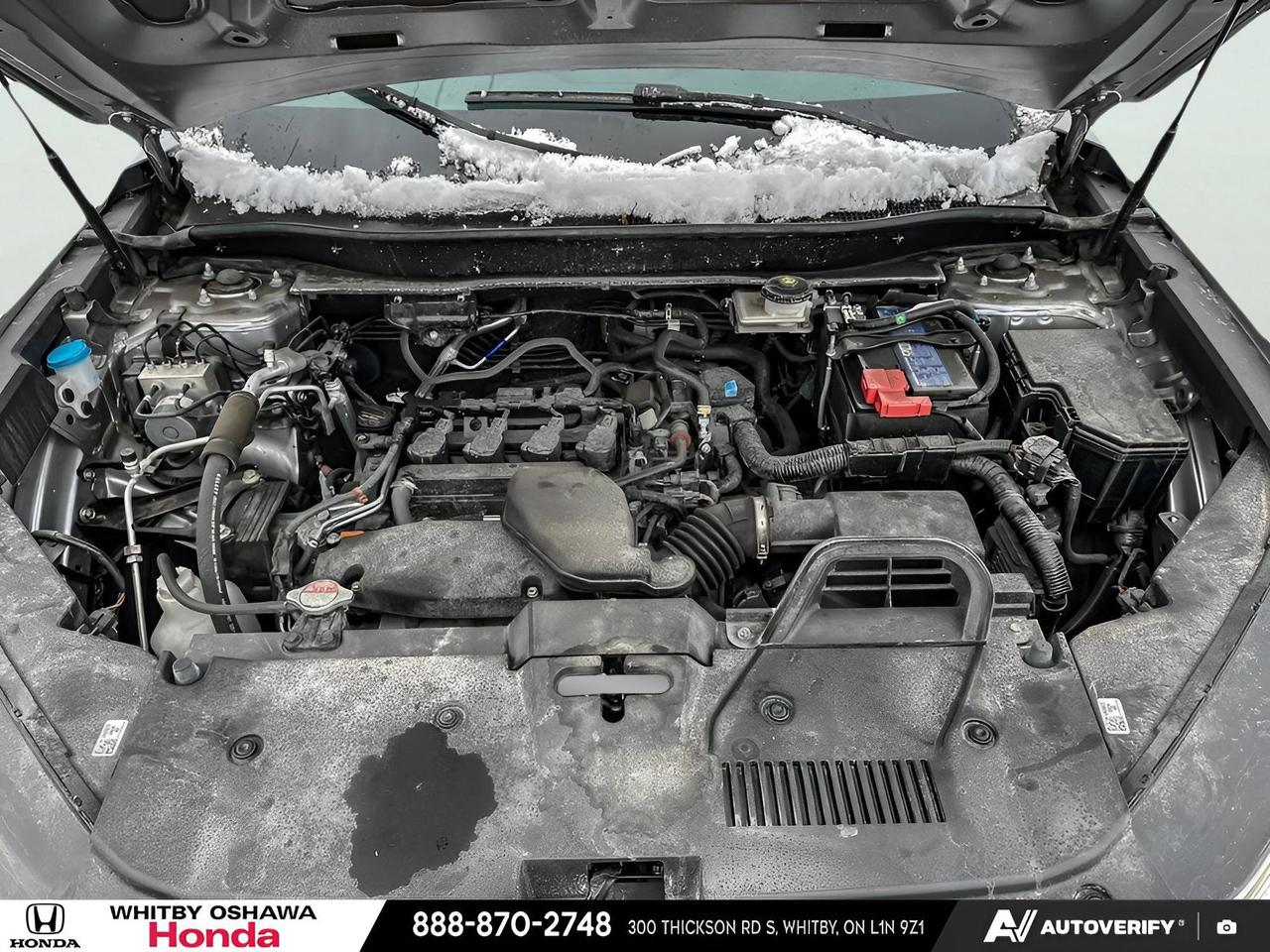 2024 Honda CR-V LX Photo