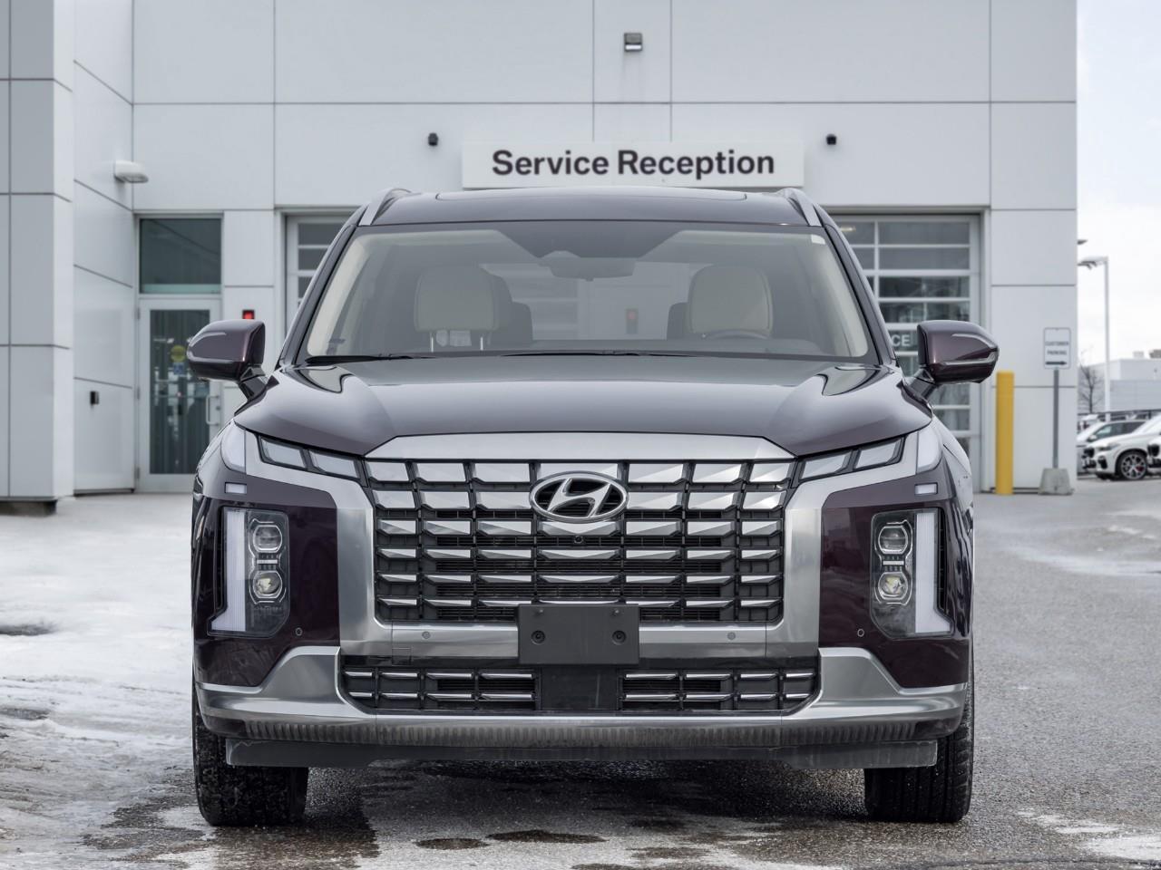 2025 Hyundai PALISADE Ultimate Calligraphy Night 4dr All-Wheel Drive Photo