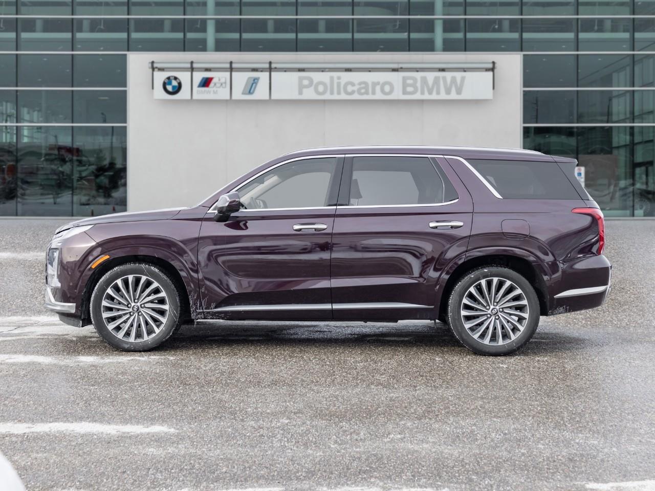 2025 Hyundai PALISADE Ultimate Calligraphy Night 4dr All-Wheel Drive Photo