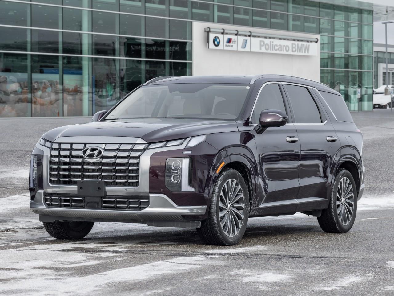 2025 Hyundai PALISADE Ultimate Calligraphy Night 4dr All-Wheel Drive Photo
