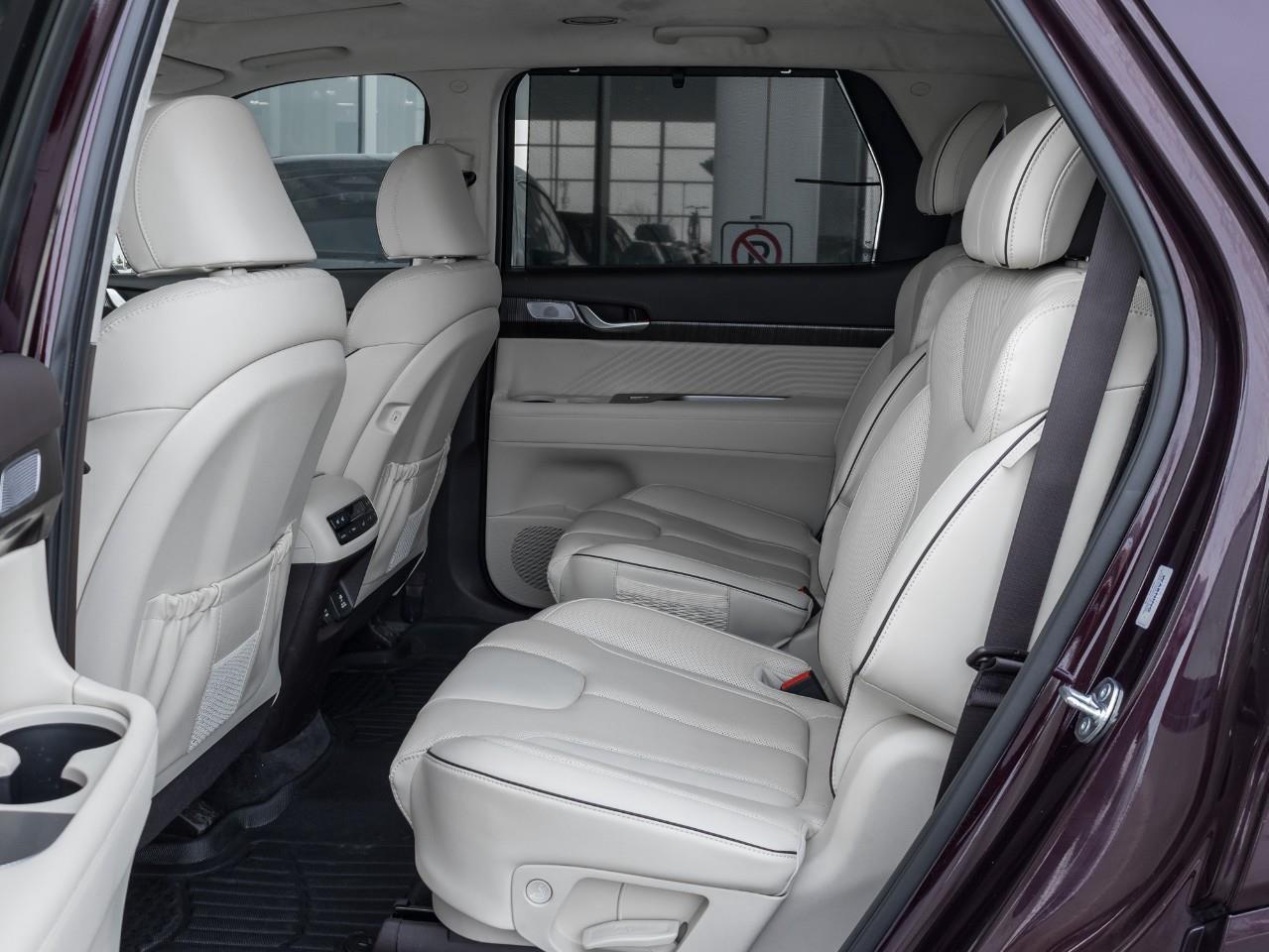 2025 Hyundai PALISADE Ultimate Calligraphy Night 4dr All-Wheel Drive Photo