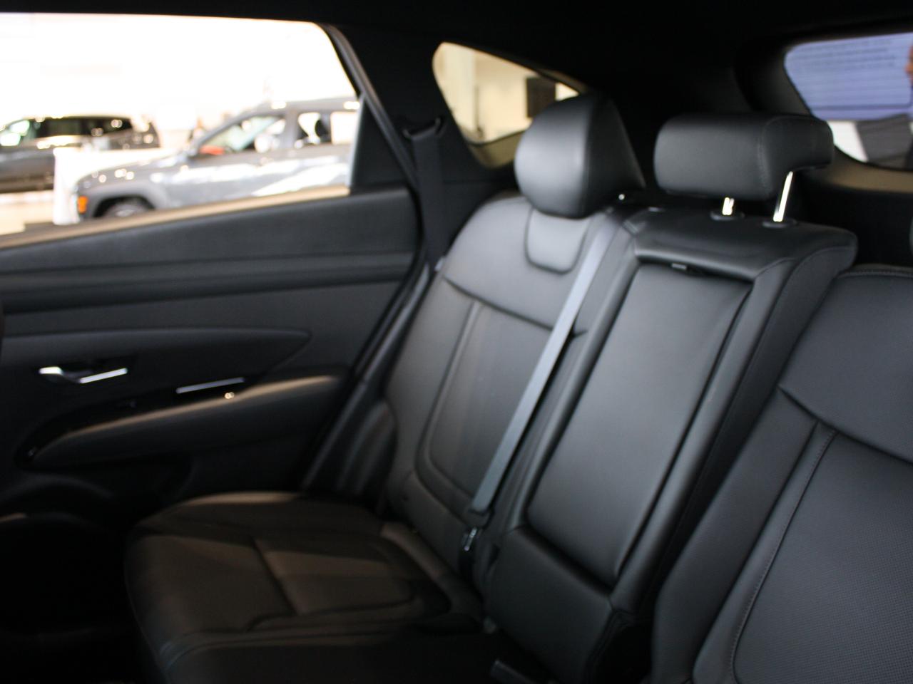 2025 Hyundai Tucson  Photo