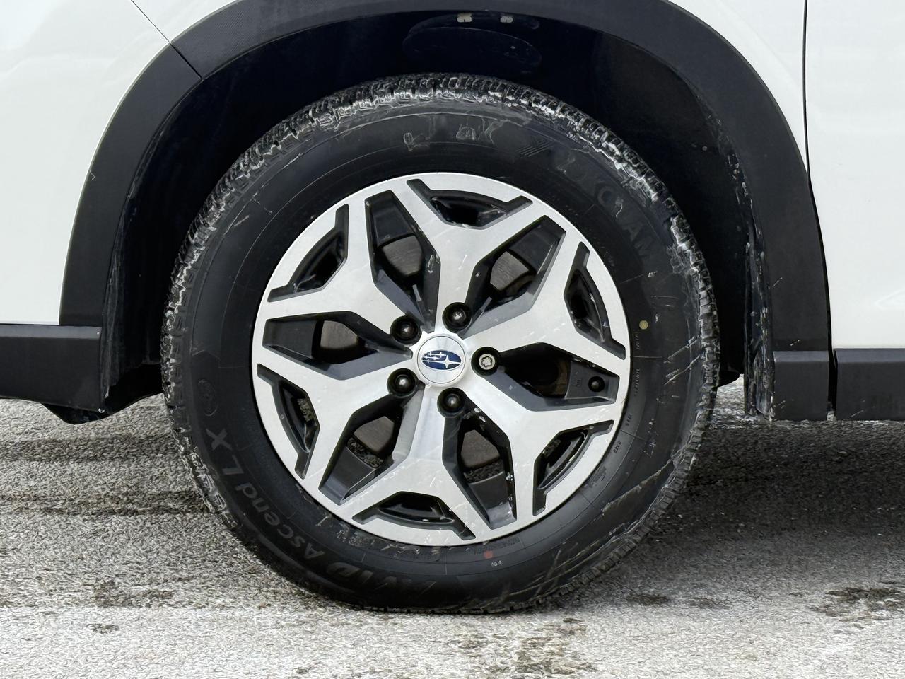 2019 Subaru Forester No Accidents l 2.5L l 4Cyl l AWD l X-Mode l BSM l Photo3