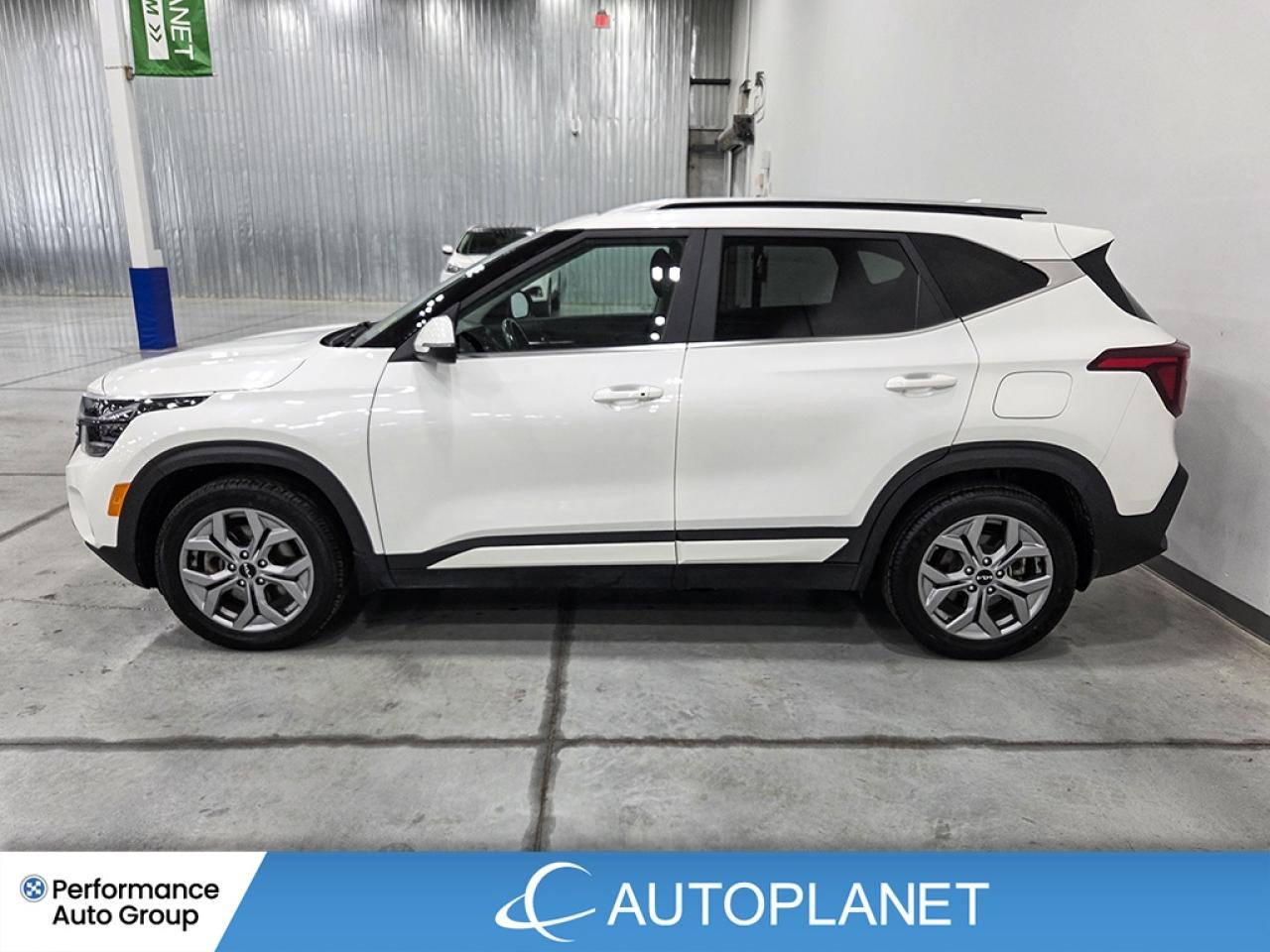 2024 Kia Seltos EX AWD - FINANCE @$87/WK OR LEASE @$97/WK Photo