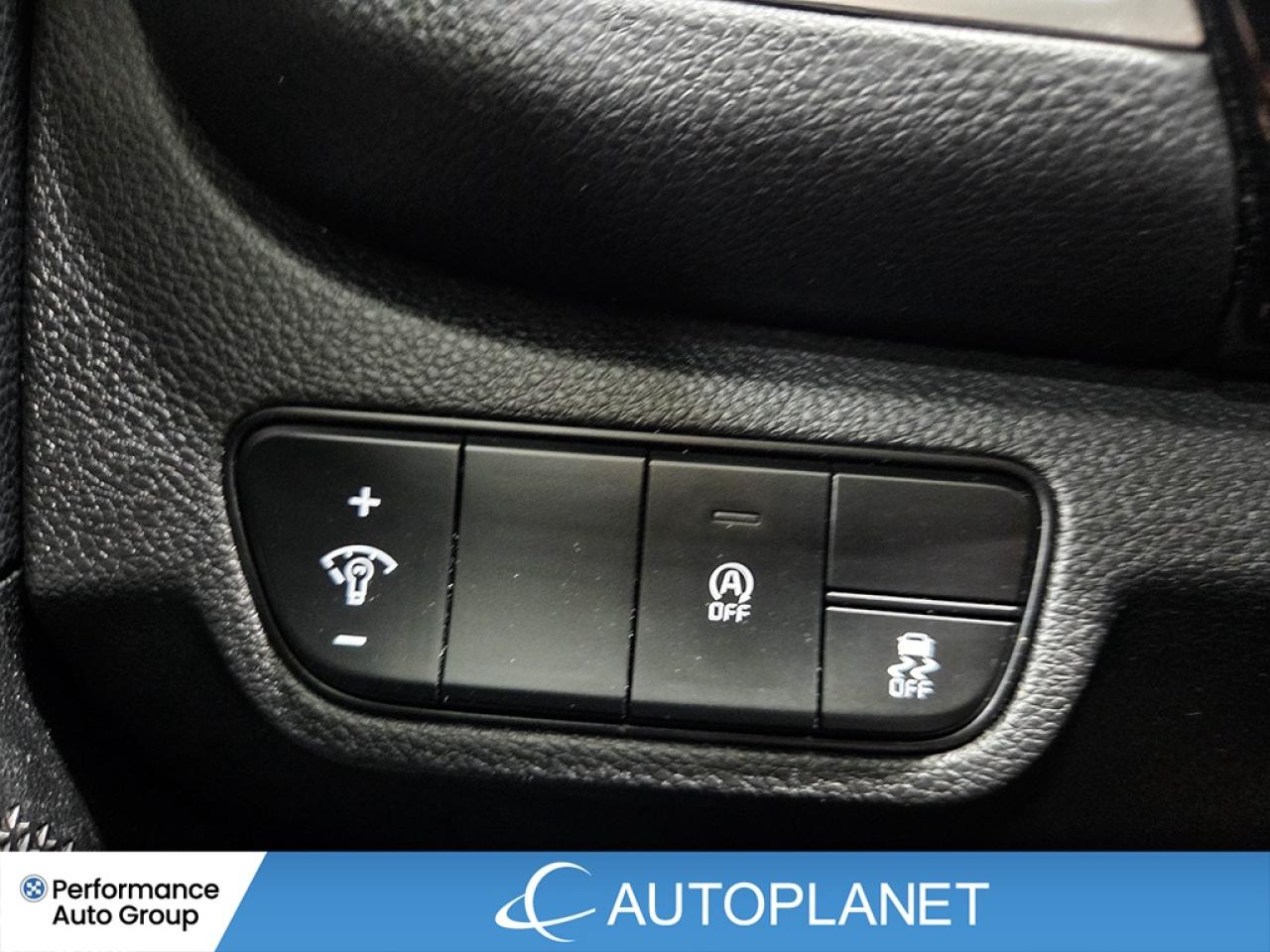 2024 Kia Seltos EX AWD - FINANCE @$87/WK OR LEASE @$97/WK Photo