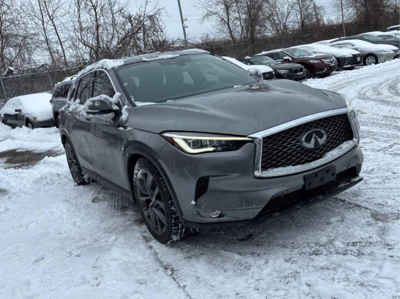 2019 Infiniti QX50 Proactive/AWD/Lane Depart/Adaptive Cruise/Vented S Photo4