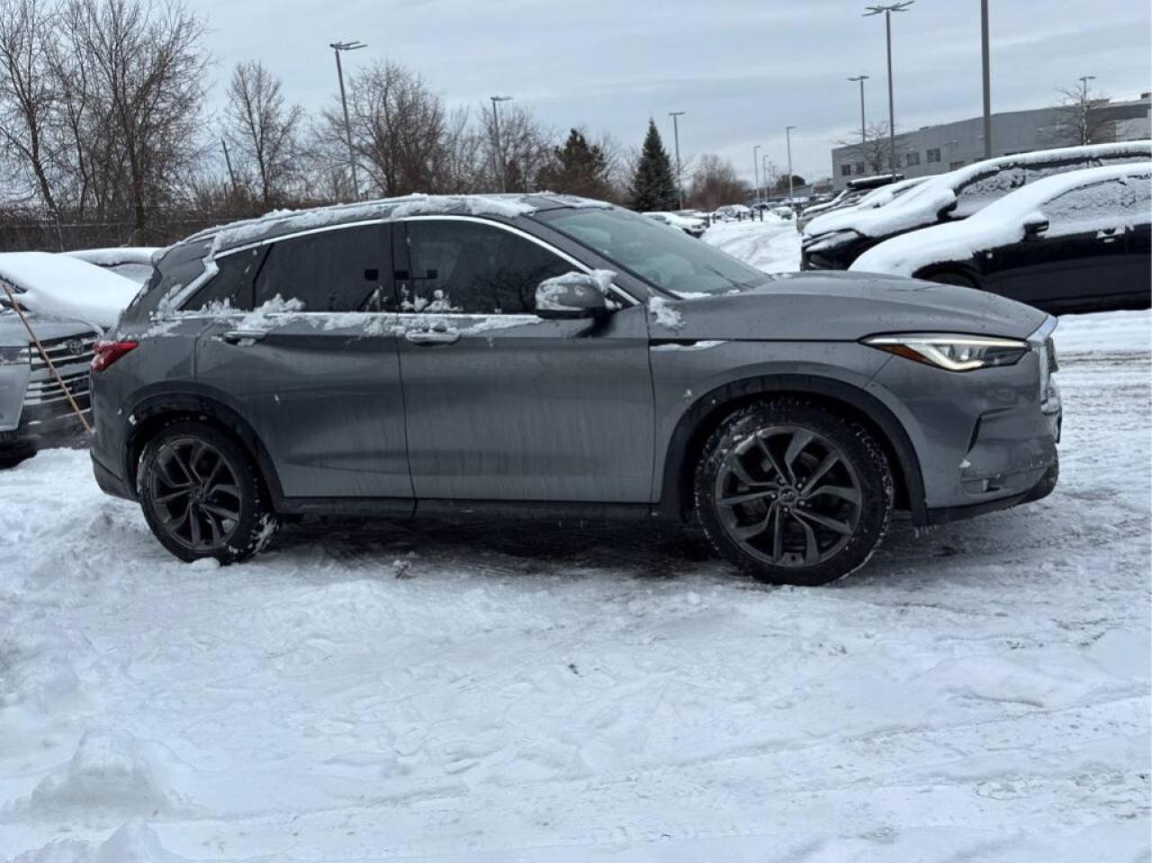 2019 Infiniti QX50 Proactive/AWD/Lane Depart/Adaptive Cruise/Vented S Photo