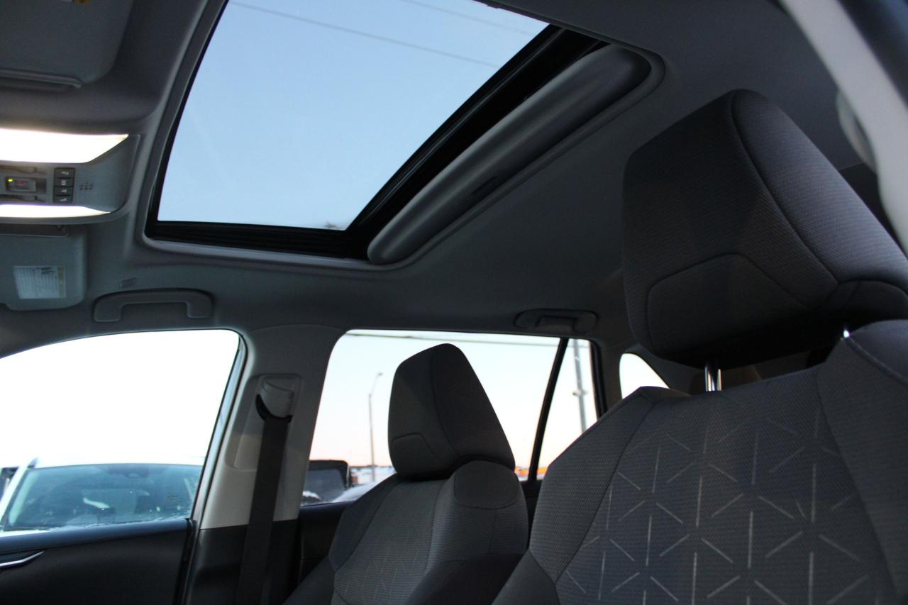 2025 Toyota RAV4 XLE Photo