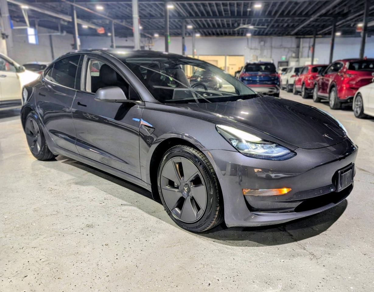 2021 Tesla Model 3 DUAL MOTOR Long Range AWD Photo2
