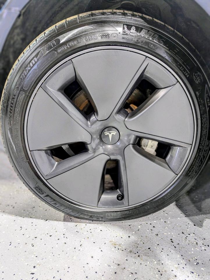 2021 Tesla Model 3 DUAL MOTOR Long Range AWD Photo4