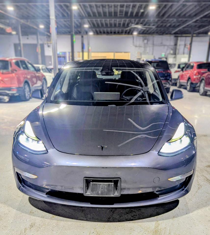 2021 Tesla Model 3 DUAL MOTOR Long Range AWD Photo