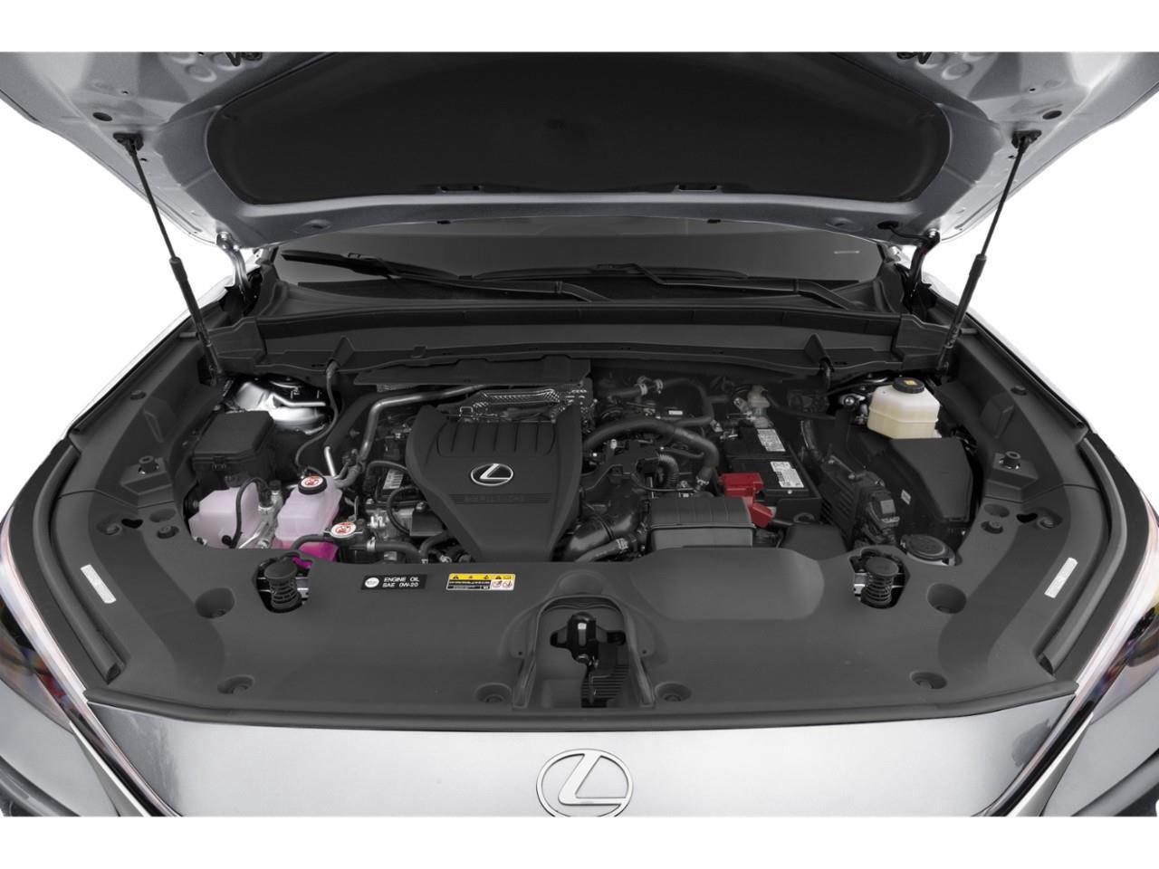 2024 Lexus TX 350  Photo