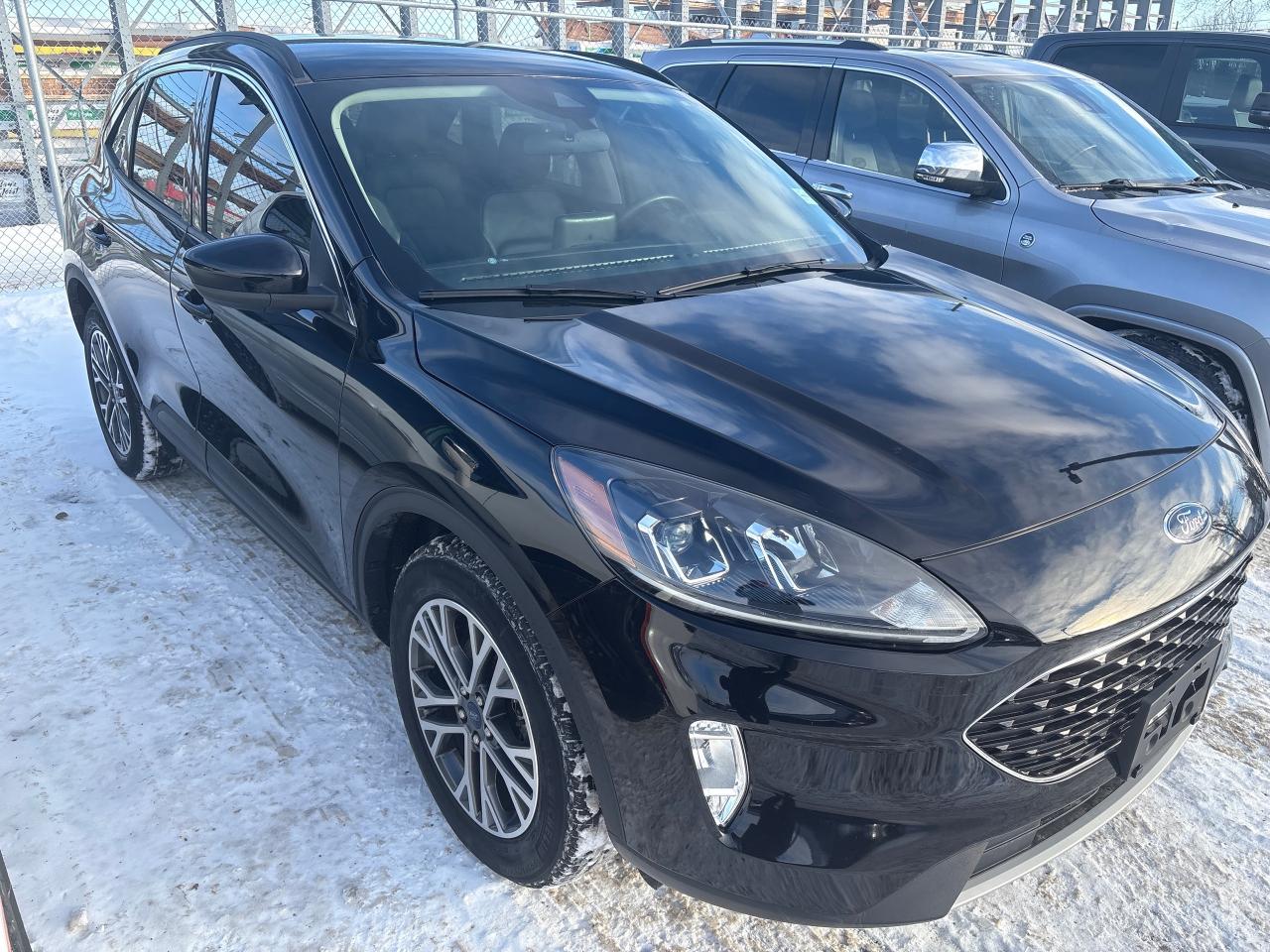 2020 Ford Escape SEL Photo0