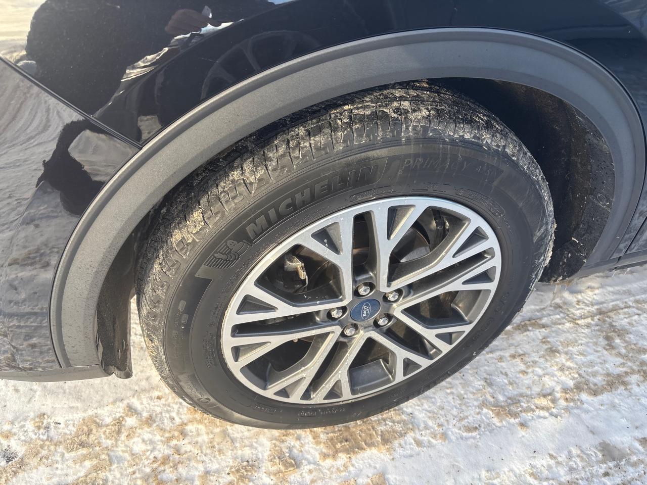 2020 Ford Escape SEL Photo1