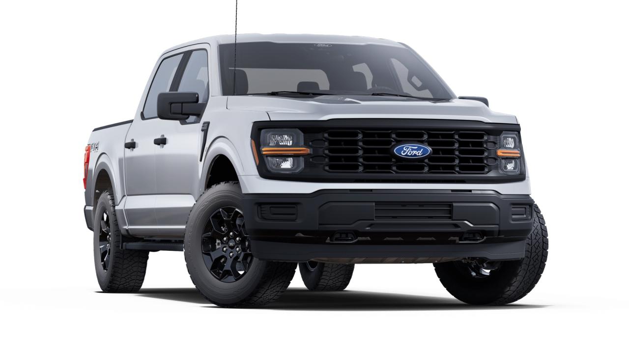 2025 Ford F-150 STX Photo3