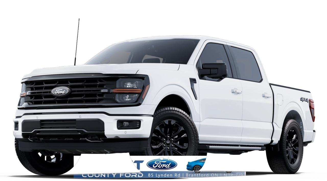 2025 Ford F-150 XLT Photo0
