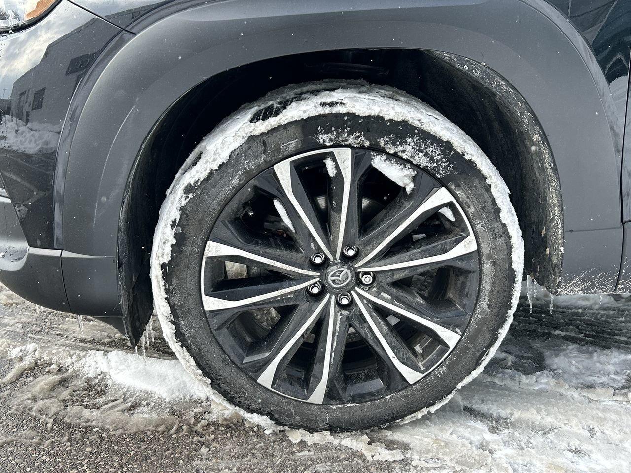 2024 Mazda CX-50 GT AWD NO ACC|CLEAN CARFAX Photo