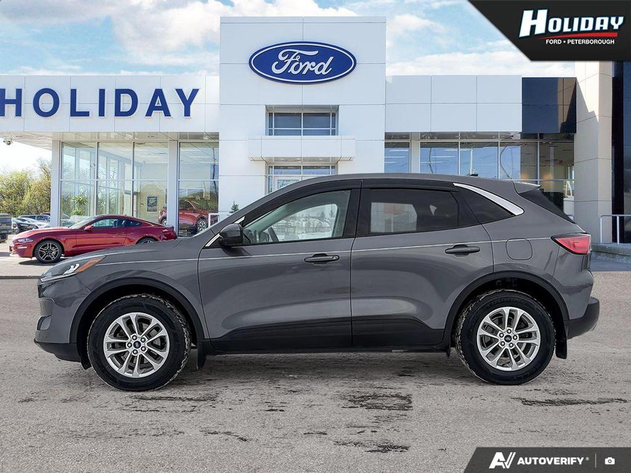 2021 Ford Escape SE Photo