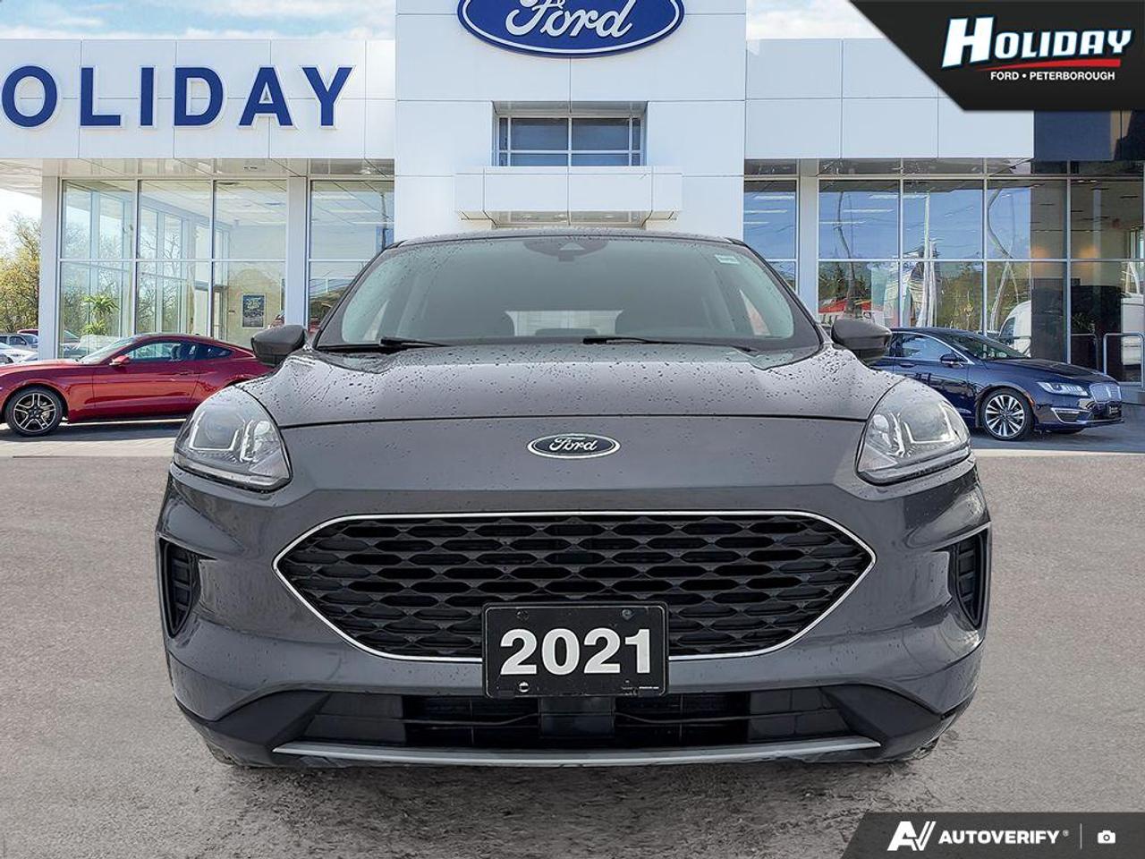 2021 Ford Escape SE Photo