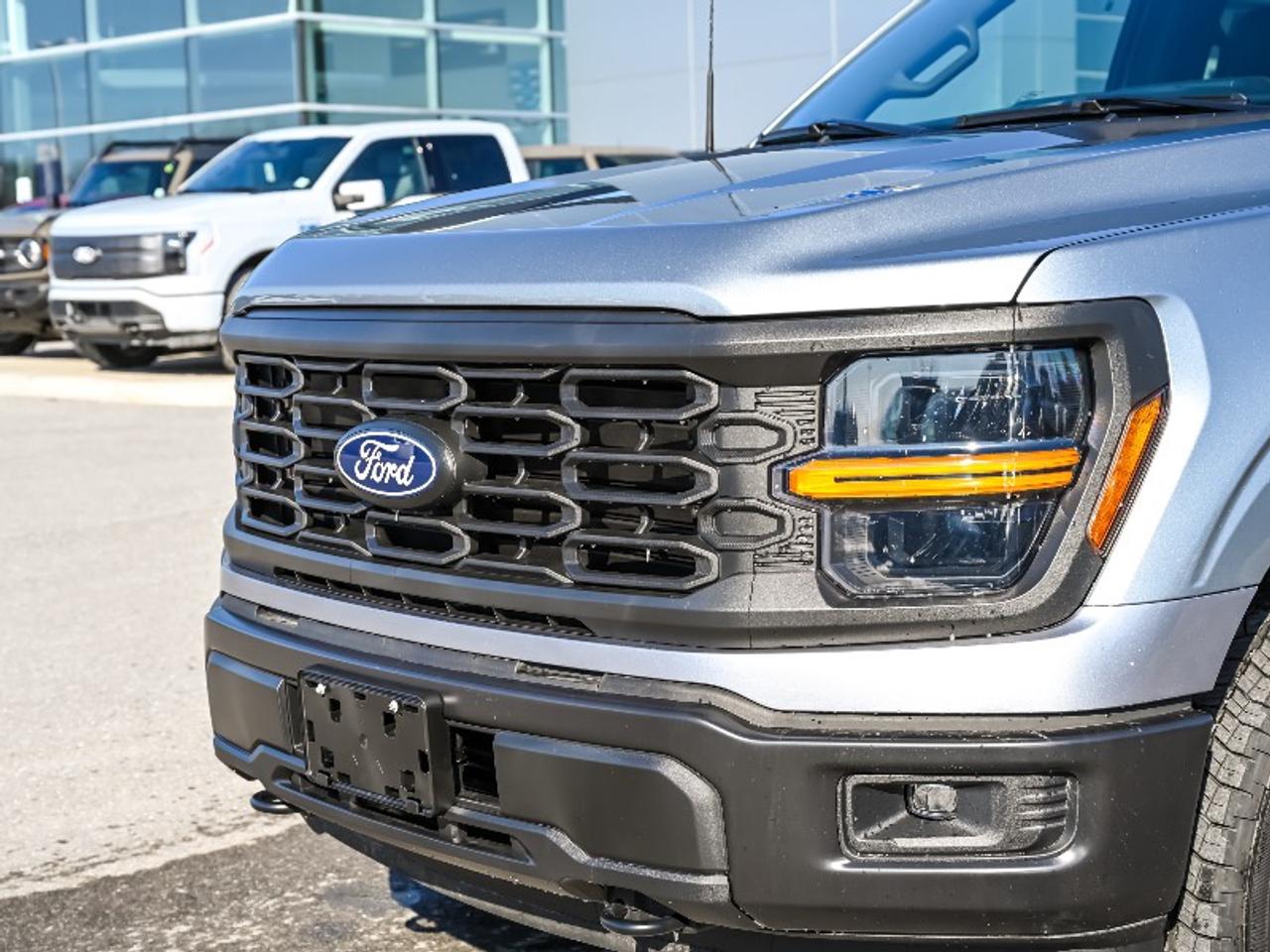 2026 Ford F-150 STX Photo