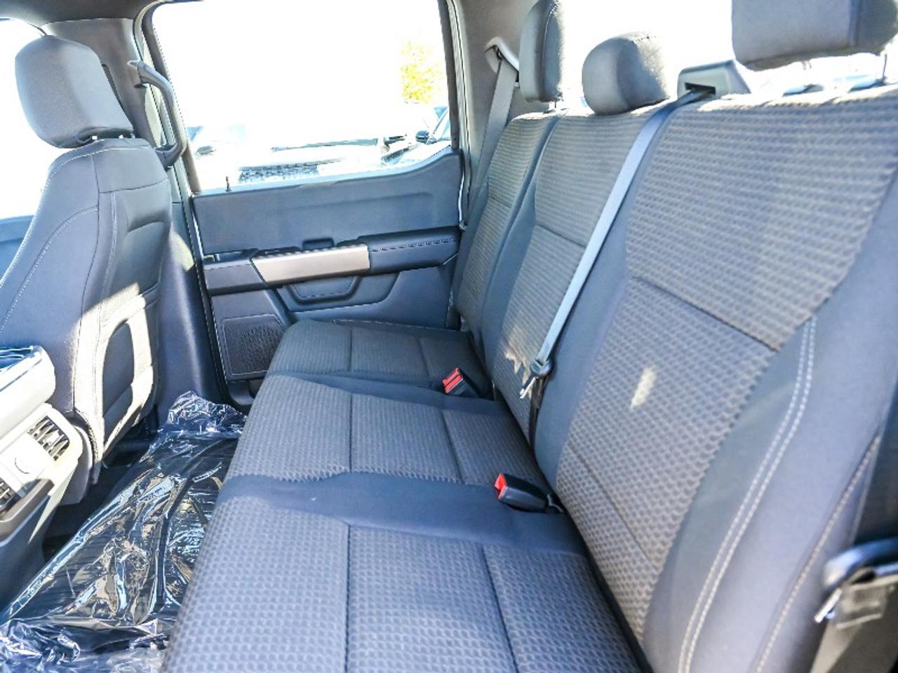 2026 Ford F-150 STX Photo