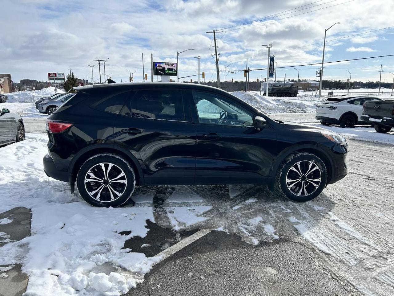 2022 Ford Escape SEL Photo