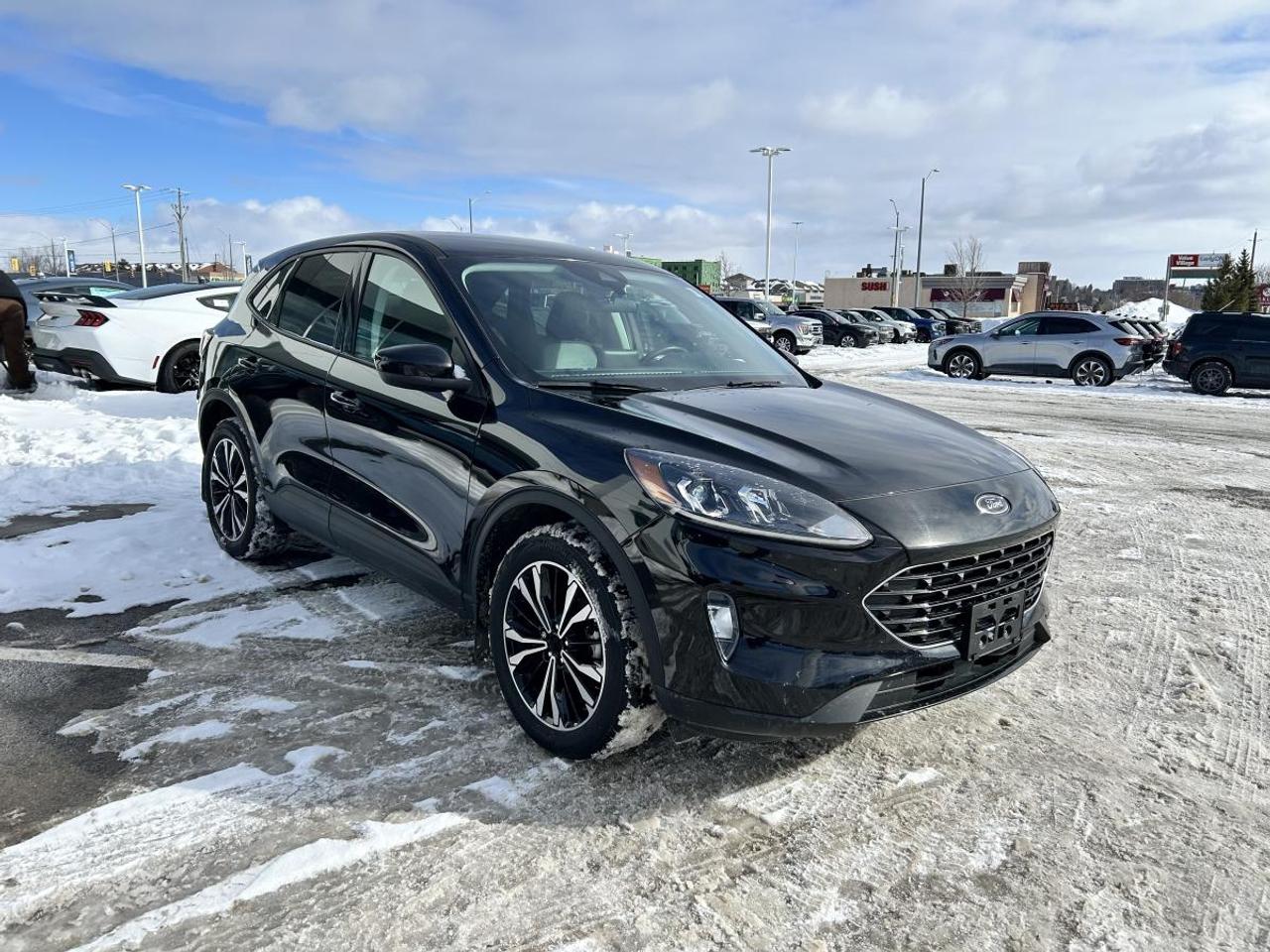 2022 Ford Escape SEL Photo2