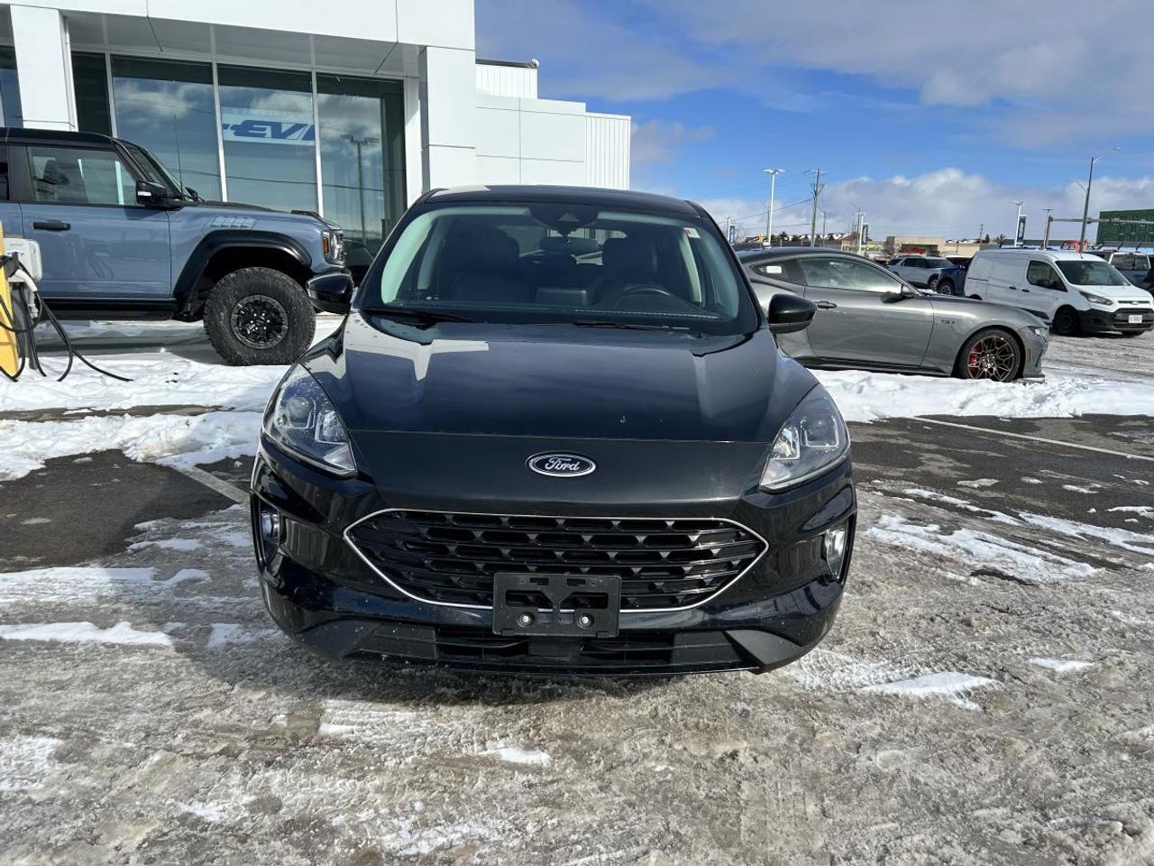 2022 Ford Escape SEL Photo