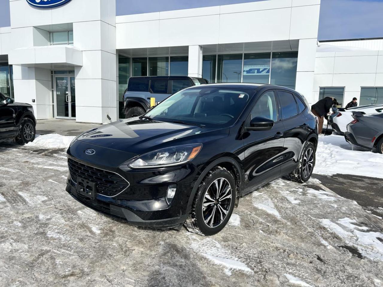 Built Ford tough!

Here is a 2022 Ford Escape SEL. Powered by a 2.0L ecoboost engine with an 8-speed automatic transmission that delivers impressive performance and smooth handling. The 2022 Ford Escape SEL features comfortable seating, modern tech features and prioritizes safety. Adventure is calling, come check out the 2022 Ford Escape SEL today!

Key Features:

>> Equipment group 302A
>> Class II trailer tow package
>> Heated front seats
>> Remote vehicle start
>> Rear parking sensors
>> Illuminated entry
>> Rear privacy glass
>> Power liftgate
>> Heated steering wheel
>> Lane keeping system
>> Safety canopy
>> Selectable drive modes
>> Tire pressure monitoring system
>> Dual power heated mirrors
>> FORDPASS CONNECT and so much more!

This 2022 Ford Escape SEL is available now at Petrie Ford. We are located at 1388 Bath Road in Kingston, Ontario. Come schedule a test drive today!<p>Built Ford tough!

Here is a 2022 Ford Escape SEL. Powered by a 2.0L ecoboost engine with an 8-speed automatic transmission that delivers impressive performance and smooth handling. The 2022 Ford Escape SEL features comfortable seating</p>
<p> come check out the 2022 Ford Escape SEL today!

Key Features:

>> Equipment group 302A
>> Class II trailer tow package
>> Heated front seats
>> Remote vehicle start
>> Rear parking sensors
>> Illuminated entry
>> Rear privacy glass
>> Power liftgate
>> Heated steering wheel
>> Lane keeping system
>> Safety canopy
>> Selectable drive modes
>> Tire pressure monitoring system
>> Dual power heated mirrors
>> FORDPASS CONNECT and so much more!

This 2022 Ford Escape SEL is available now at Petrie Ford. We are located at 1388 Bath Road in Kingston</p>