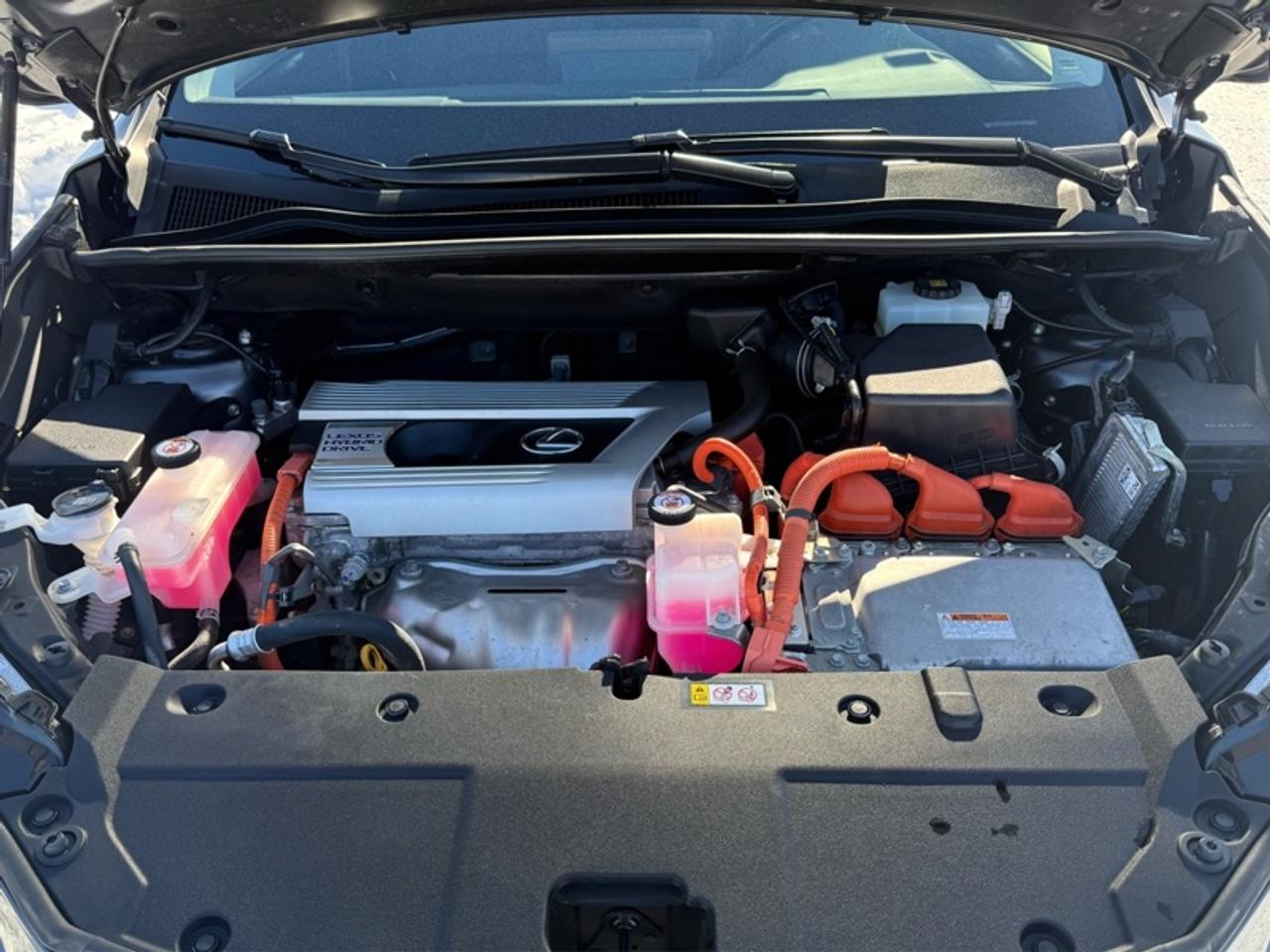 2020 Lexus NX 300h   - HYBRID Photo