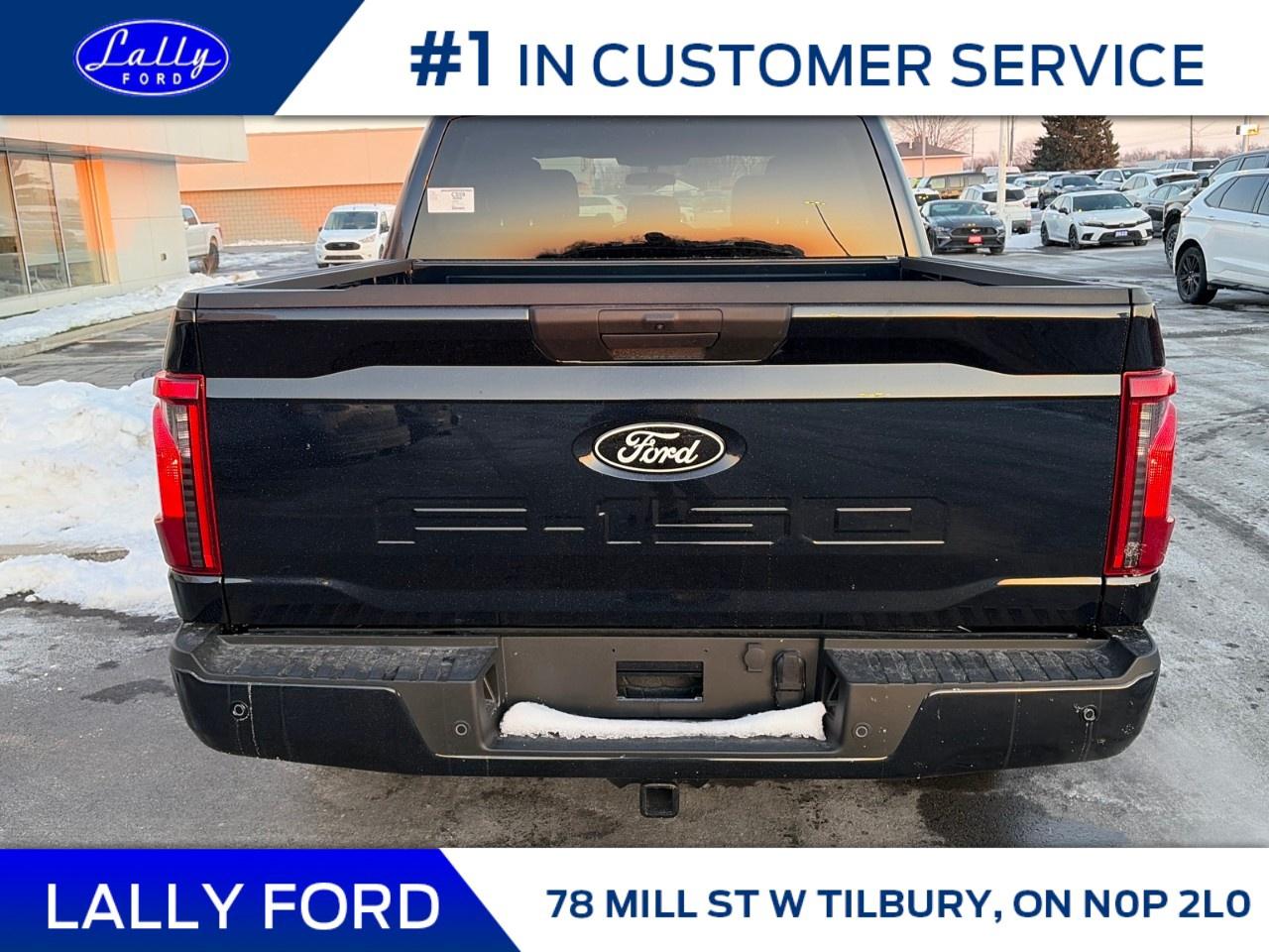 2026 Ford F-150 XLT 4WD SuperCrew 5.5' Box Photo