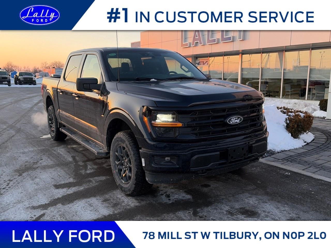 2026 Ford F-150 XLT 4WD SuperCrew 5.5' Box Photo0